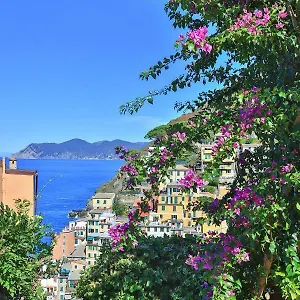 5 Terre For Holiday home Riomaggiore